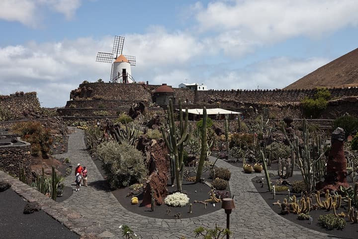 Jardín de Cactus
